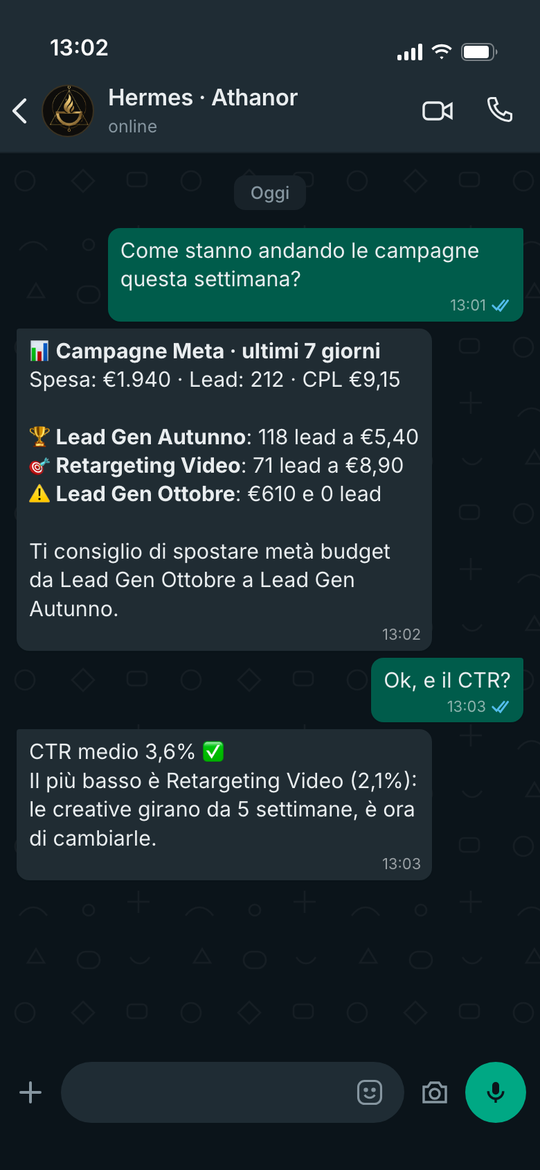 Chat WhatsApp: Hermes riassume le campagne della settimana