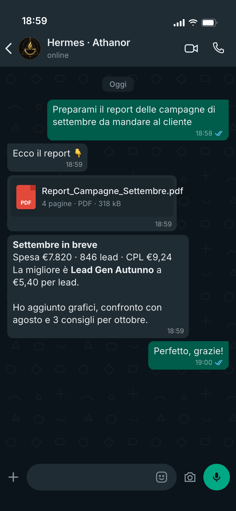 Chat WhatsApp: Hermes invia il report PDF delle campagne